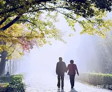 开云足球-意甲清晨走向成谜，里昂调整名单，话题不断，资深球员宣示担当的简单介绍